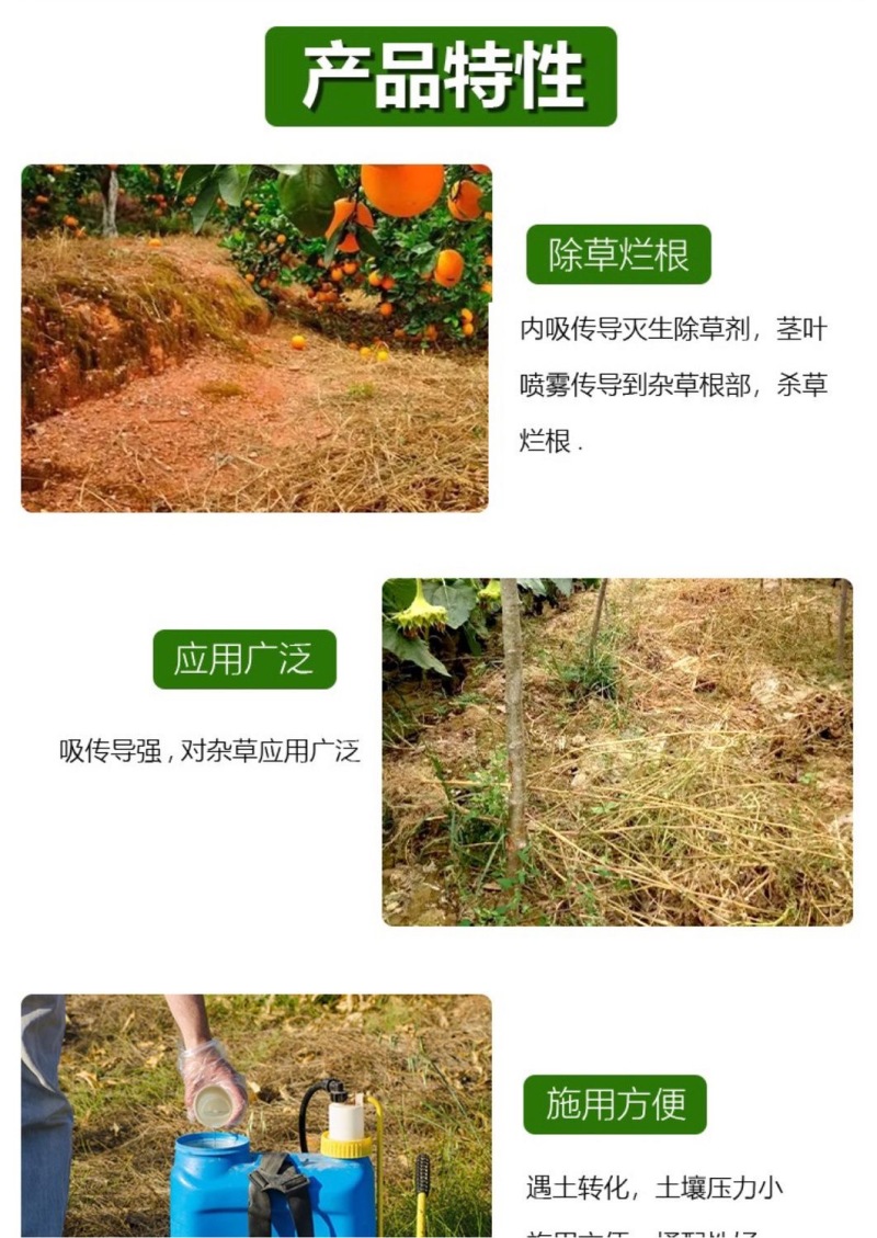 草甘磷除草烂根剂强力一扫专用剂光草甘膦异丙胺盐正品农药除