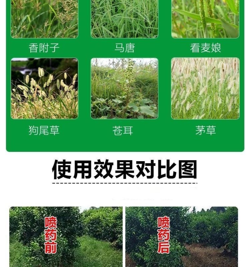 草甘磷除草烂根剂强力一扫专用剂光草甘膦异丙胺盐正品农药除