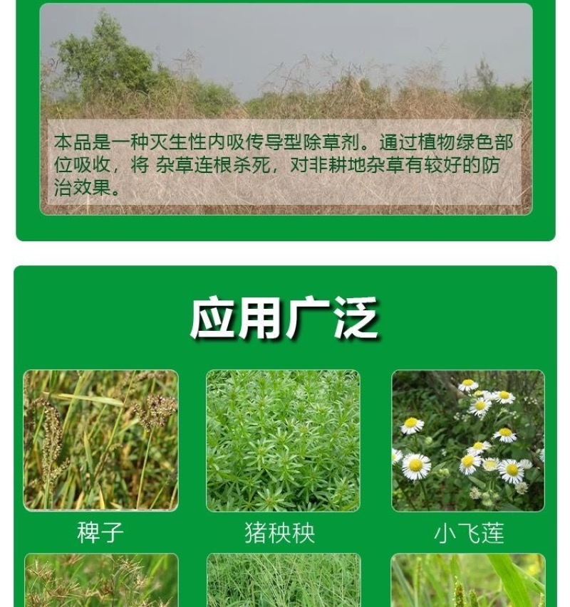 草甘磷除草烂根剂强力一扫专用剂光草甘膦异丙胺盐正品农药除