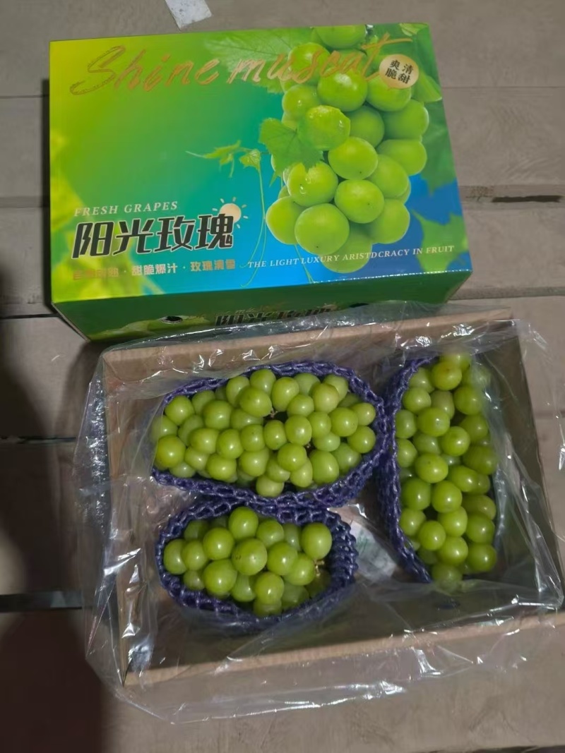 阳光玫瑰葡萄新鲜无籽精美礼盒包装提供电商