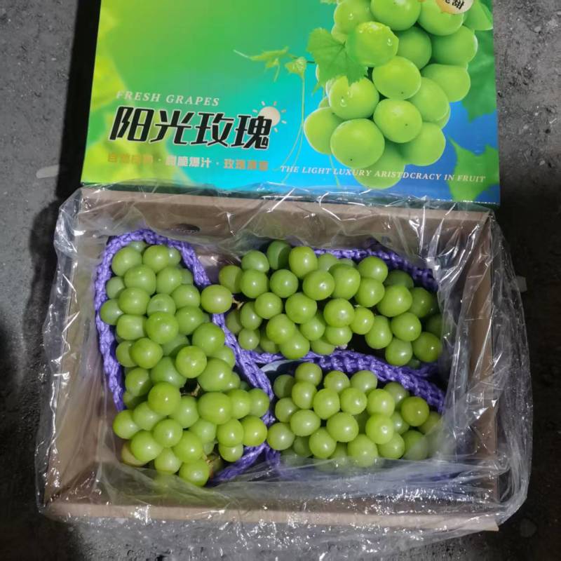 阳光玫瑰葡萄新鲜无籽精美礼盒包装提供电商