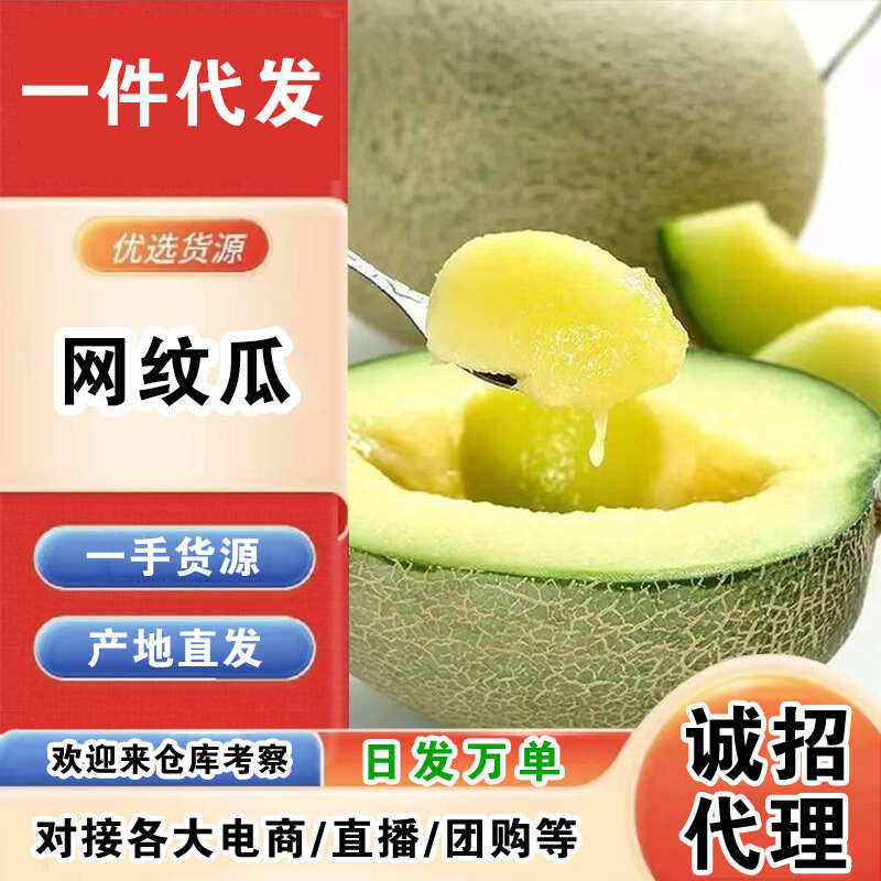 海南网纹瓜一件代发产地直发一手货源对接各大电商平台