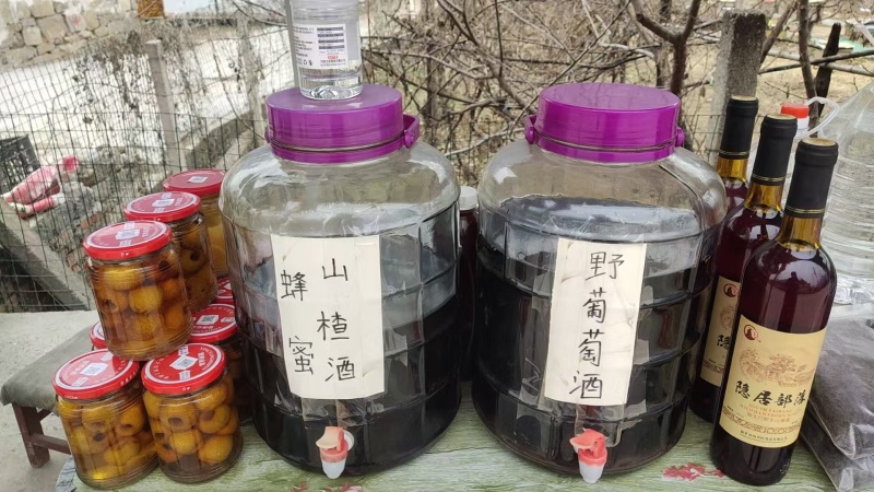 野葡萄酒农家自酿果酒品质保证欢迎洽谈