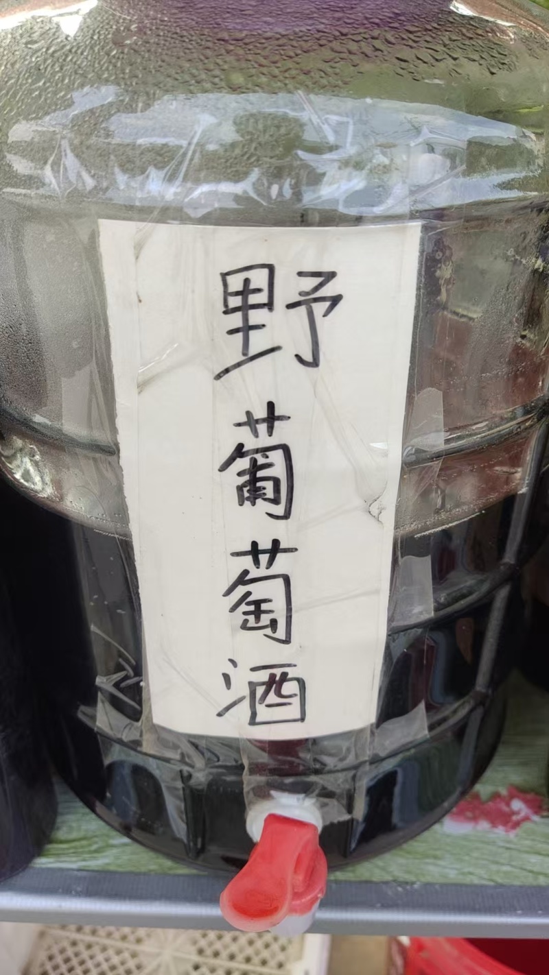 野葡萄酒农家自酿果酒品质保证欢迎洽谈