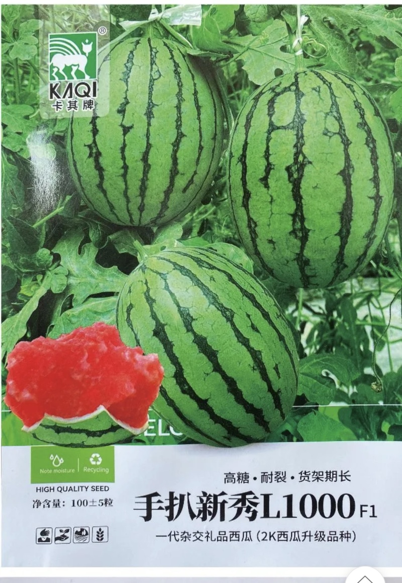 手扒新秀L1000西瓜种子皮薄且韧质细无渣甜美如蜜