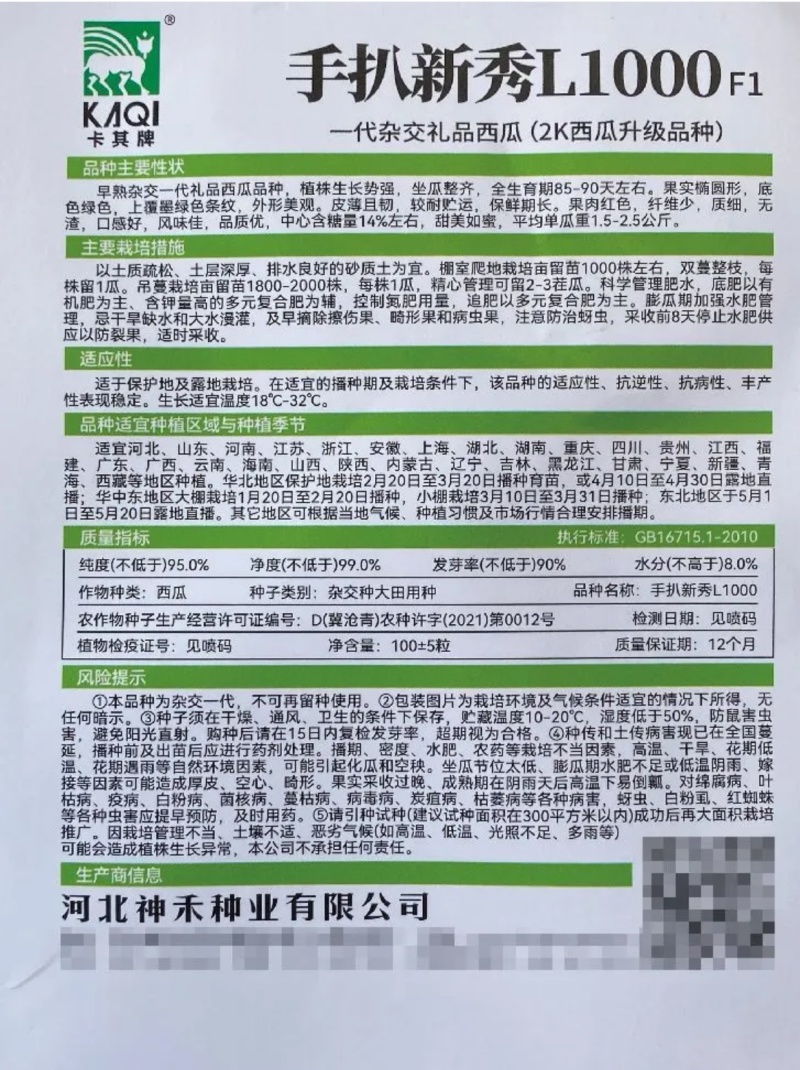 手扒新秀L1000西瓜种子皮薄且韧质细无渣甜美如蜜