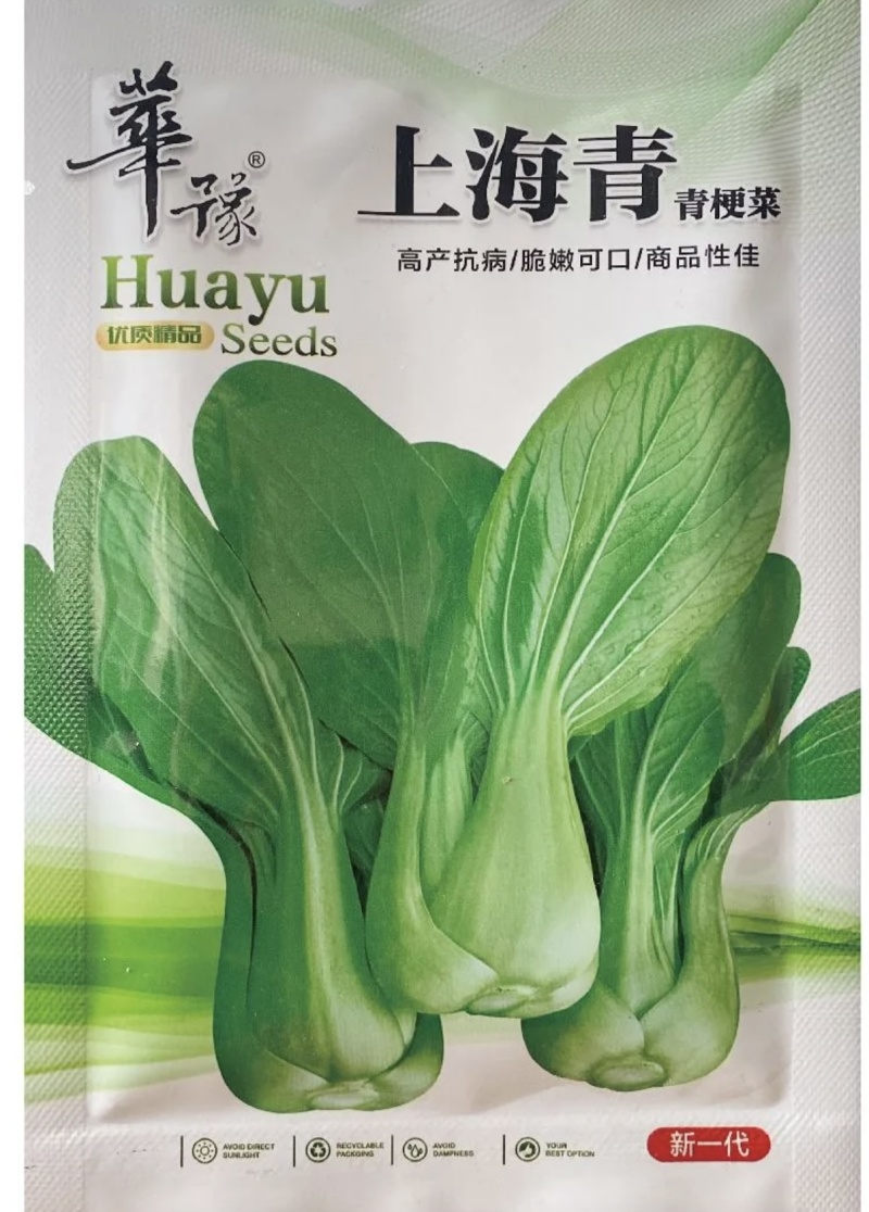 上海青青梗菜种子束腰叶绿柄宽厚抗病脆嫩可口