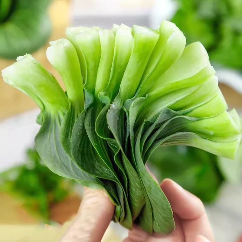 上海青青梗菜种子束腰叶绿柄宽厚抗病脆嫩可口