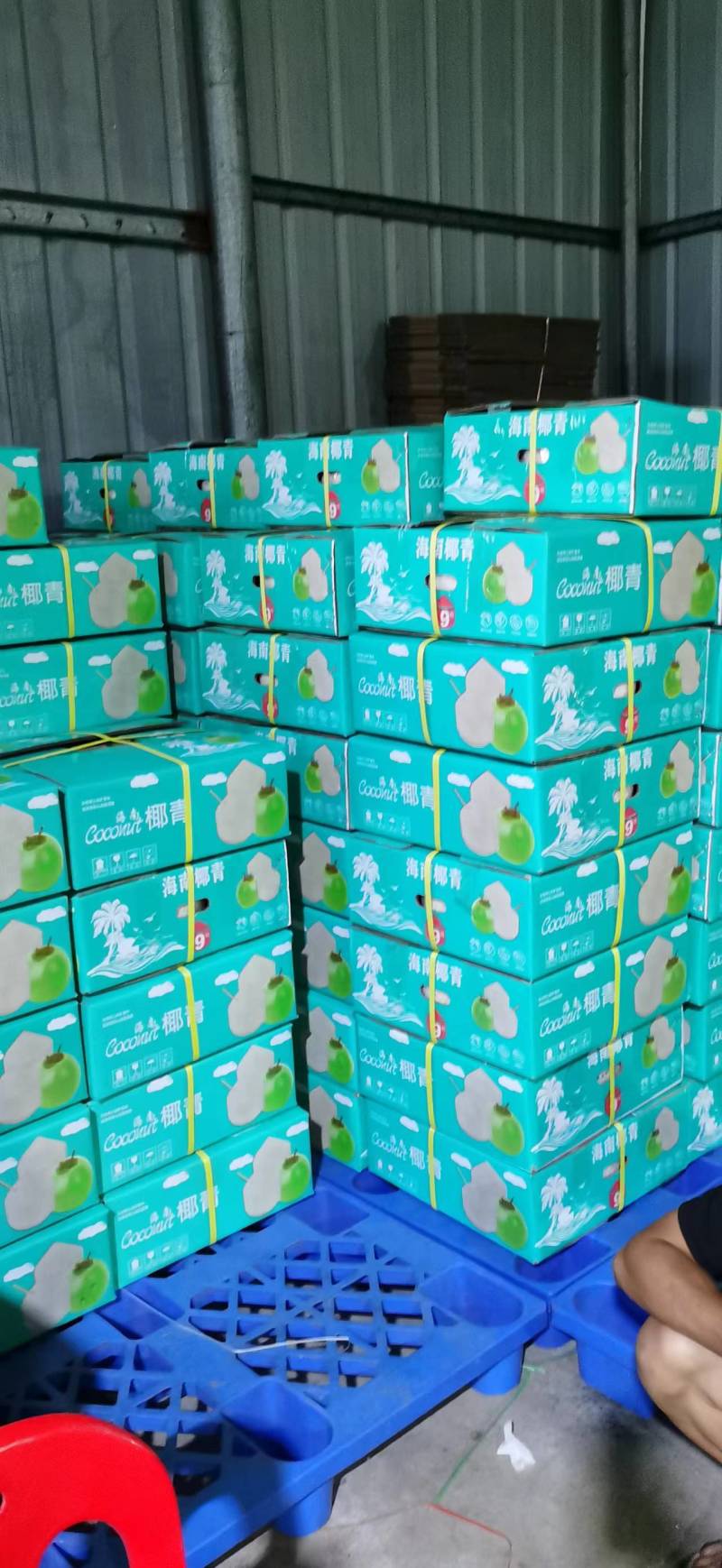 海南椰青一件代发产地直发一手货源对接各大电商平台