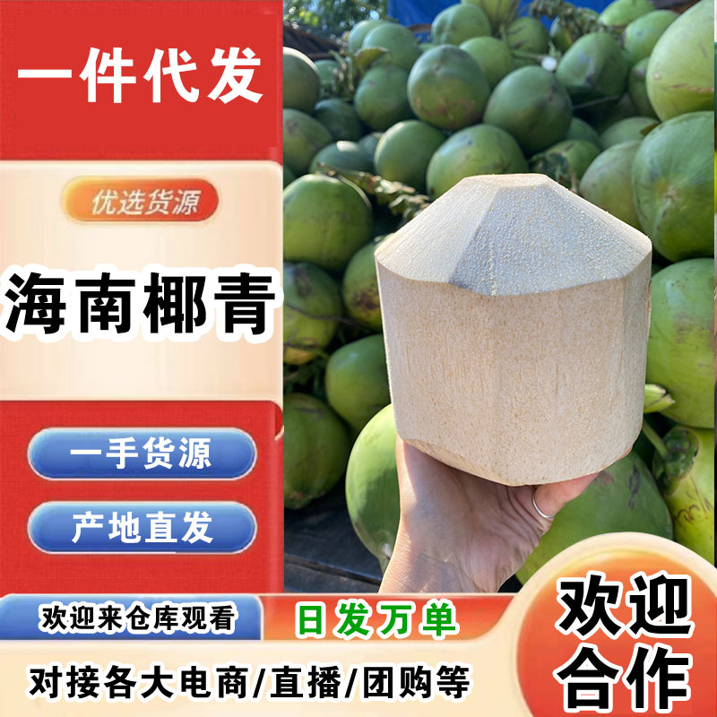 海南椰青一件代发产地直发一手货源对接各大电商平台