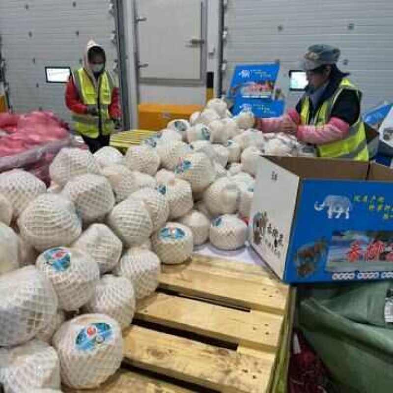 泰国小奶椰一件代发产地直发一手货源对接各大电商平台