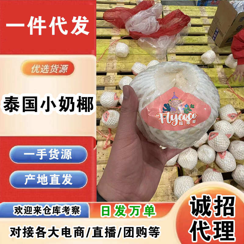 泰国小奶椰一件代发产地直发一手货源对接各大电商平台