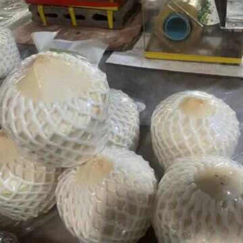 泰国小奶椰一件代发产地直发一手货源对接各大电商平台