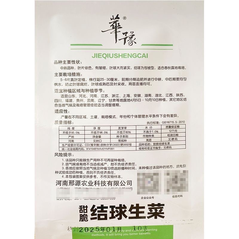 结球生菜种子叶球大而紧实结球为包被型