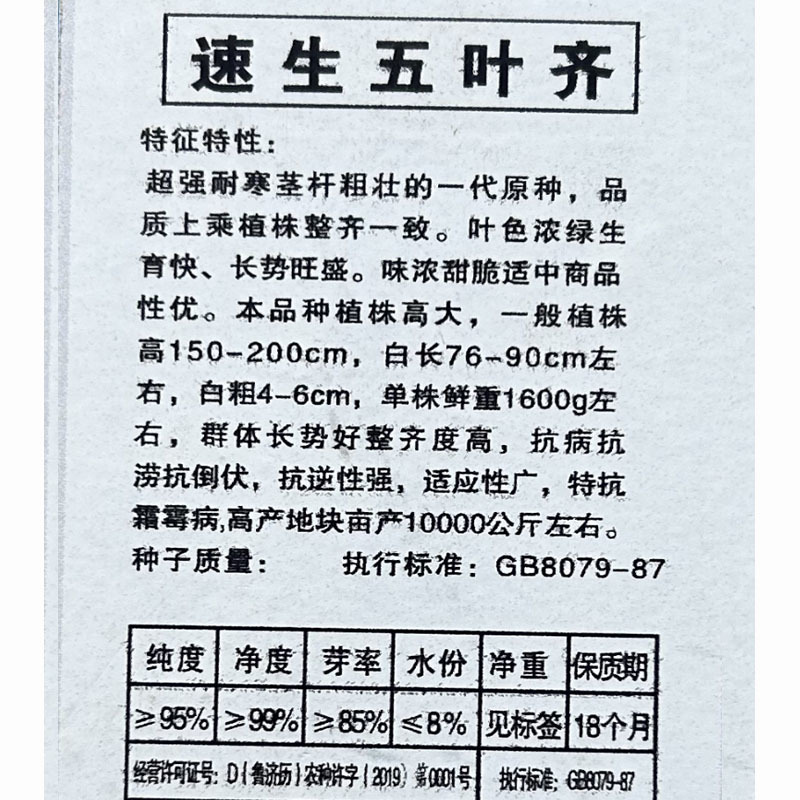 章丘大葱种子速生五叶齐白杆叶色浓绿大田基地品种
