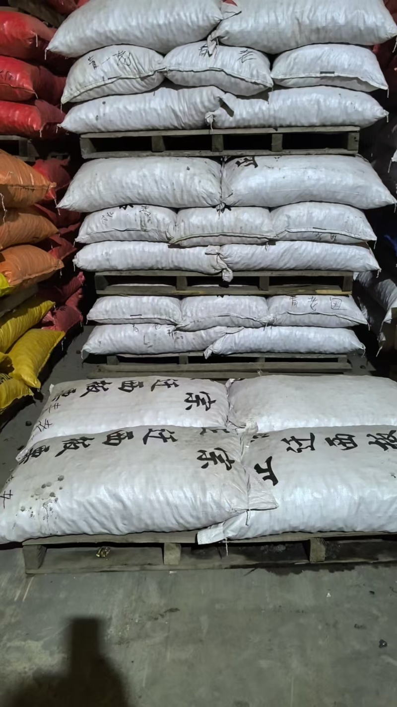 【热卖】精品遵化板栗大标栗产地直发品质保障代发全国可看货