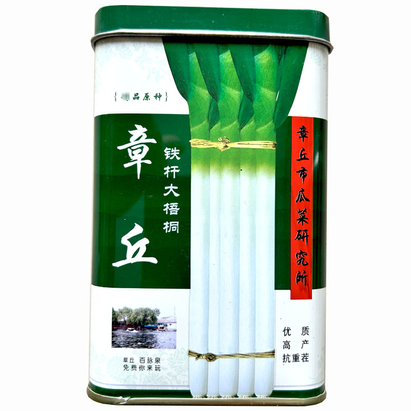 章丘铁杆大梧桐葱种子抗倒伏葱白长大田基地种植