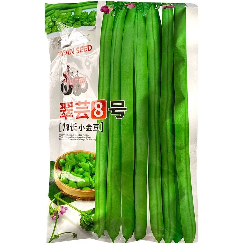 翠芸8号加长小金豆种子耐病豆荚浅绿色品质细嫩不易老化