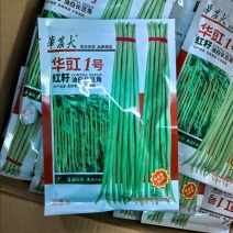 华豇1号红籽油白长豆角种子双荚率高不易鼠尾抗病耐热