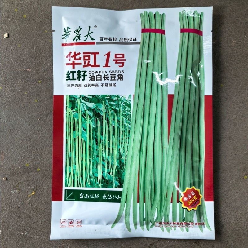华豇1号红籽油白长豆角种子双荚率高不易鼠尾抗病耐热