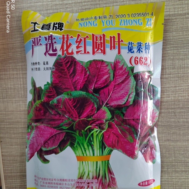 严选花红圆叶苋菜种子叶面红色叶柄茎绿色耐热耐湿耐病