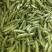 26年新豌豆豌豆豌豆荚中豌9号大量供应对接全国