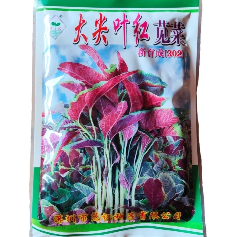大尖叶红苋菜种子红叶红头抗热耐寒叶片厚快大生长