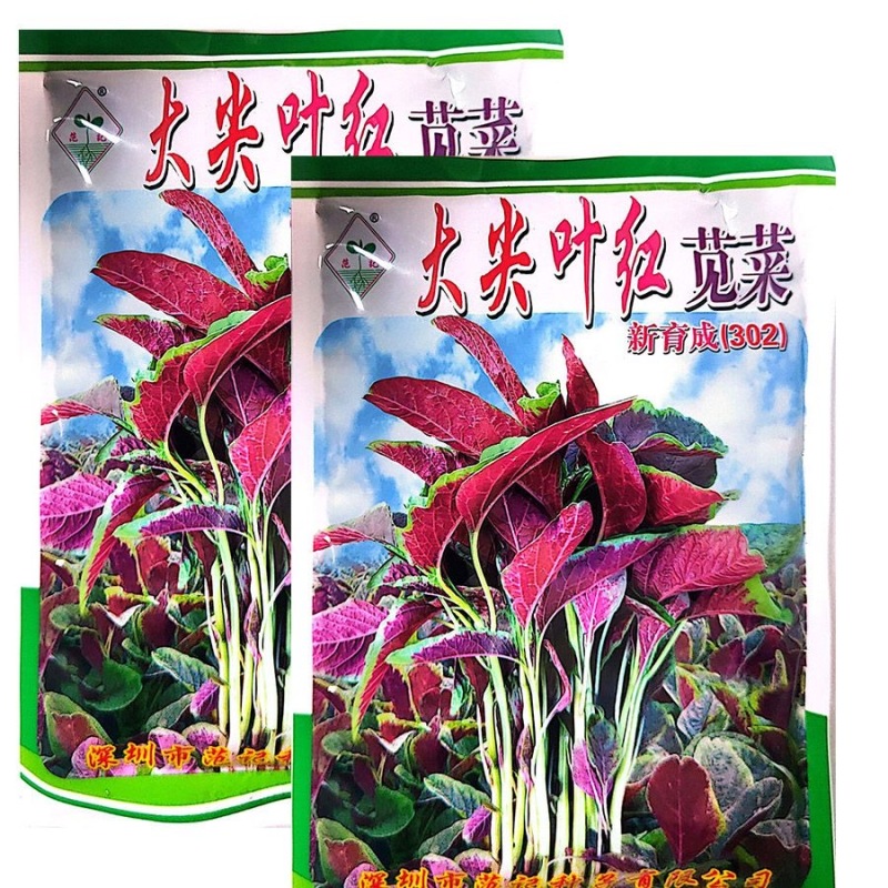 大尖叶红苋菜种子红叶红头抗热耐寒叶片厚快大生长