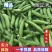 26年新豌豆豌豆豌豆荚中豌9号大量供应对接全国