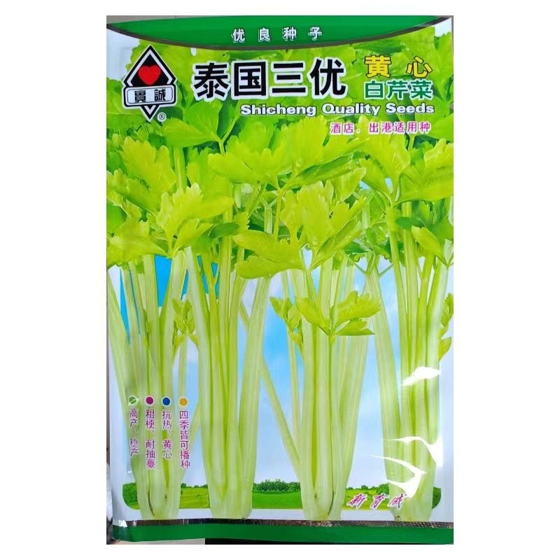 泰国三优黄心白芹菜种子抗热耐多雨粗梗耐抽苔