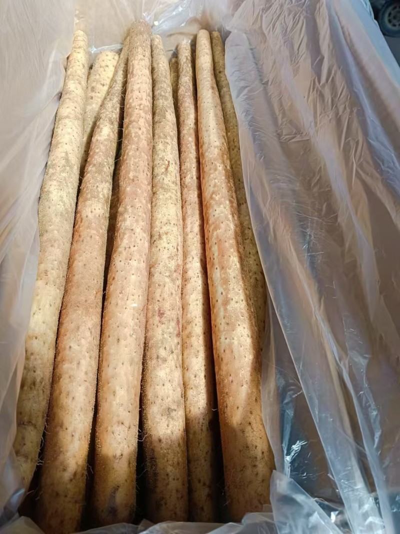 【推荐】精品山药铁棍山药产地直发一手货源可视频看货欢迎