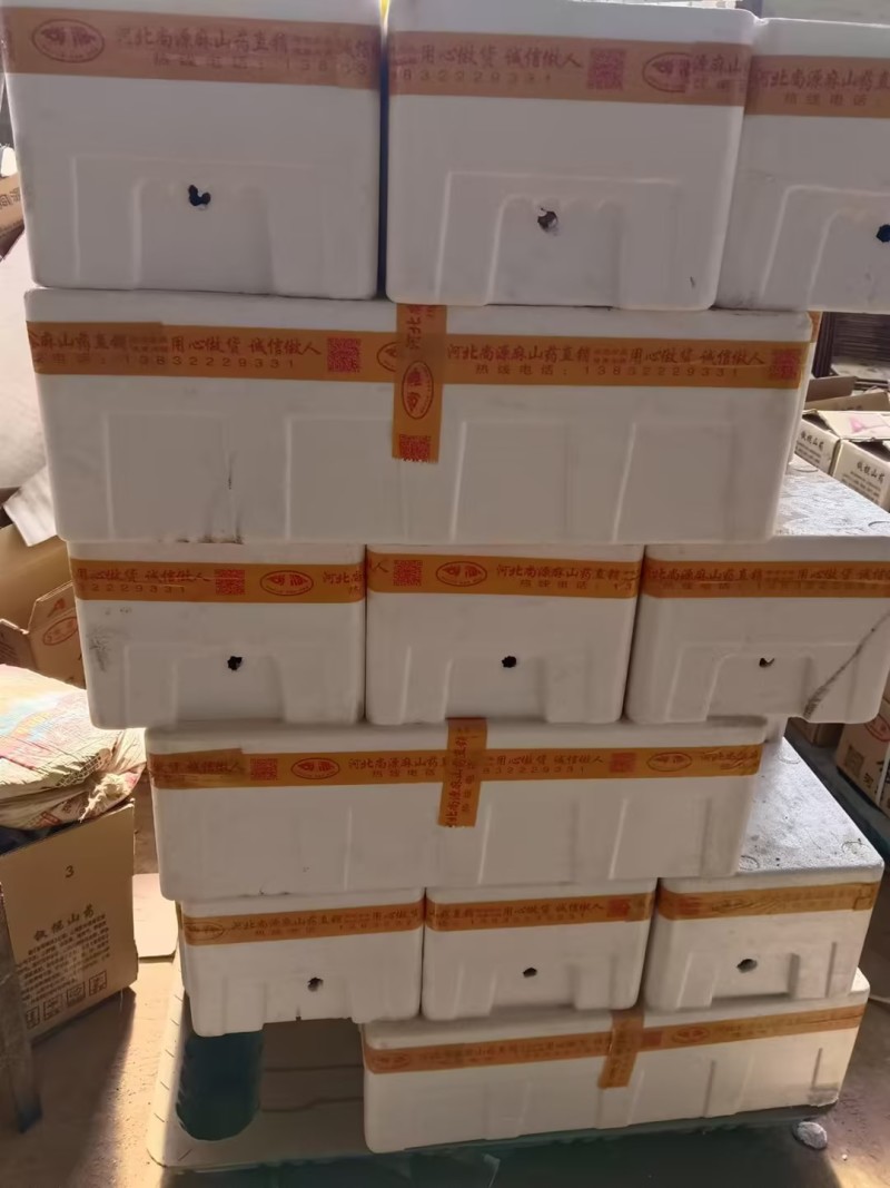【热卖】精品山药双棒山药量大价优一手货源可视频看货欢迎