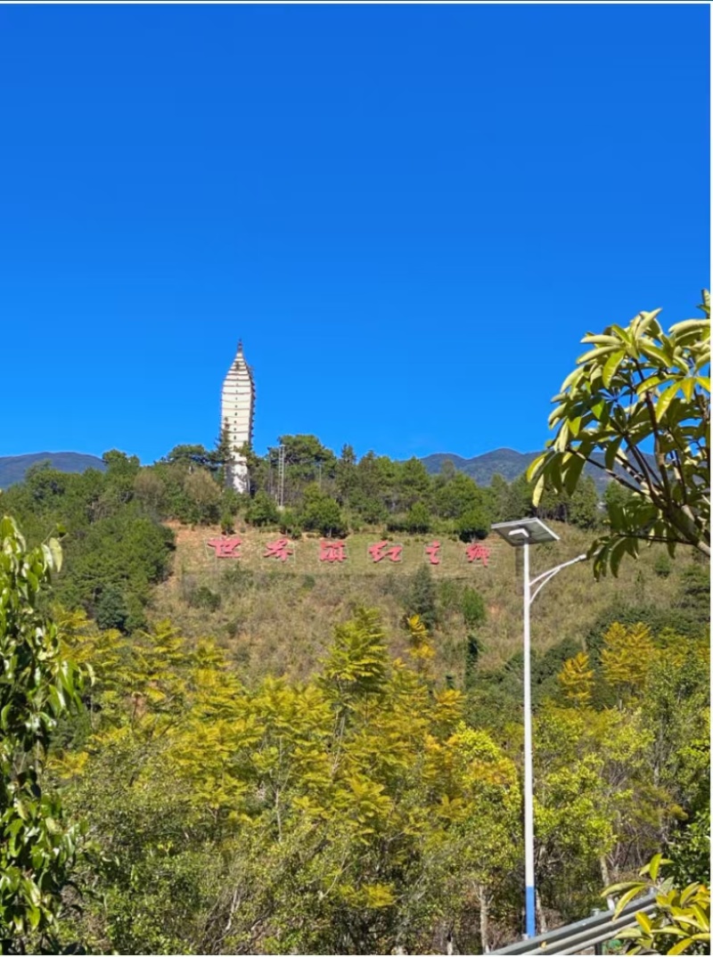 云南凤庆滇红大树茶产地直供保质保量全国发货欢迎订购