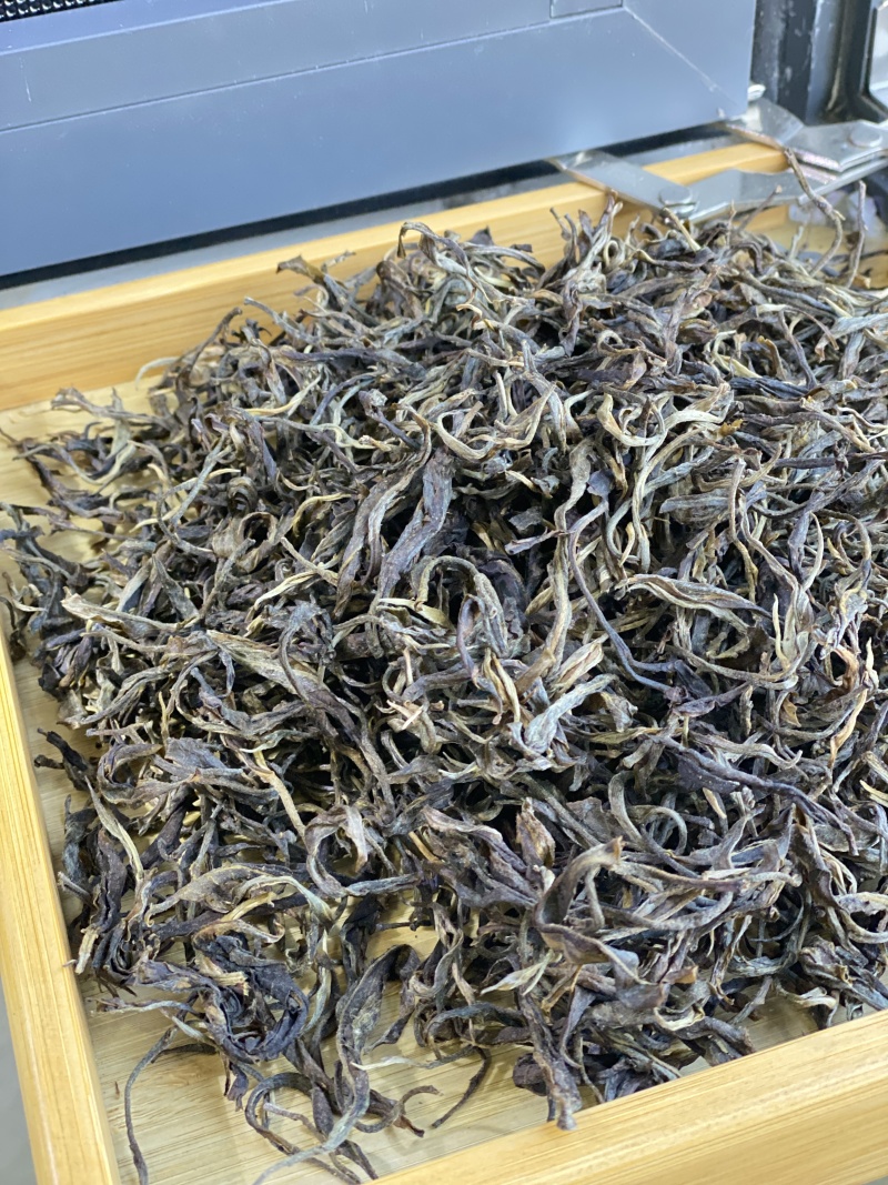 云南凤庆滇红大树茶产地直供保质保量全国发货欢迎订购