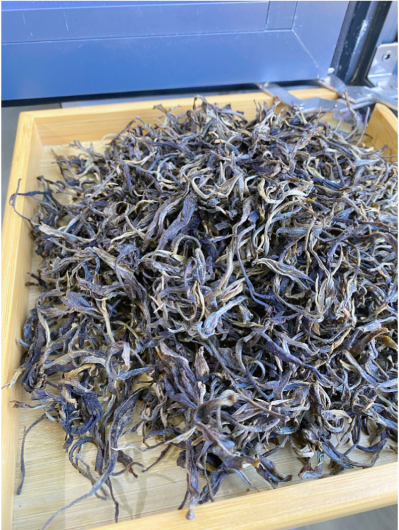 云南凤庆滇红大树茶产地直供保质保量全国发货欢迎订购