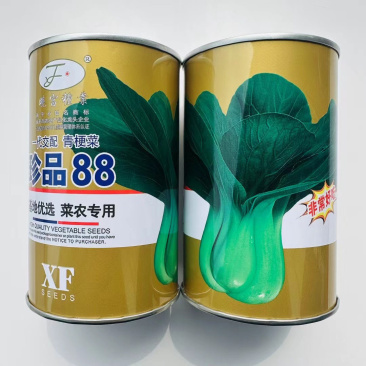 珍品88青梗菜种子耐热耐寒叶柄肥厚叶片深绿不拔节