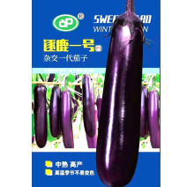 逐鹿一号紫红长茄种子皮色深紫红肉色淡绿肉质软糯