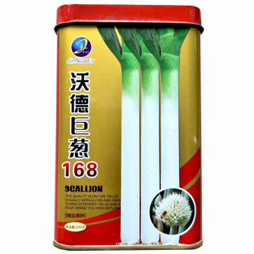 铁杆大葱种子沃德巨葱168山东章丘大葱大葱种子高产耐