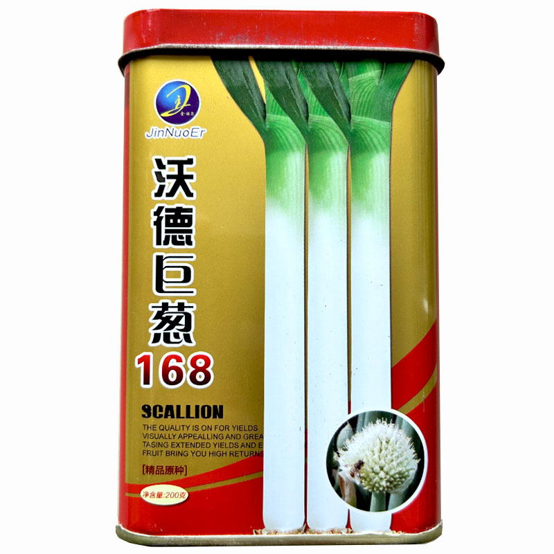 铁杆大葱种子沃德巨葱168山东章丘大葱大葱种子高产耐