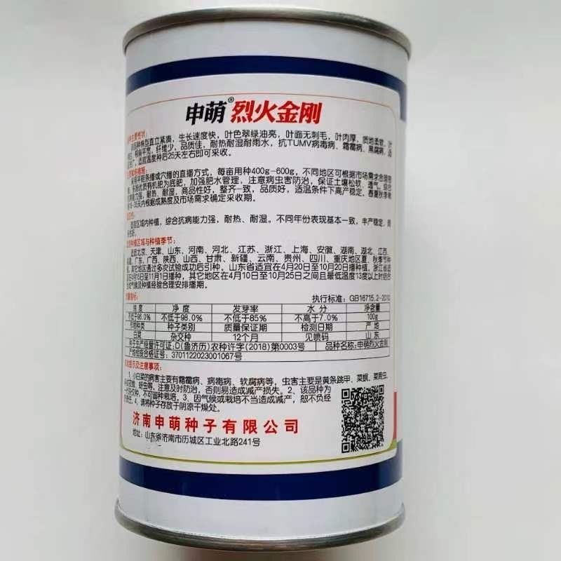 烈火金刚快菜种子耐热耐湿耐雨水叶色翠绿油亮
