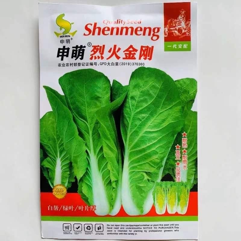 烈火金刚快菜种子耐热耐湿耐雨水叶色翠绿油亮