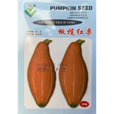 橄榄红栗南瓜种子桔红皮果肉橙红色质地细粉