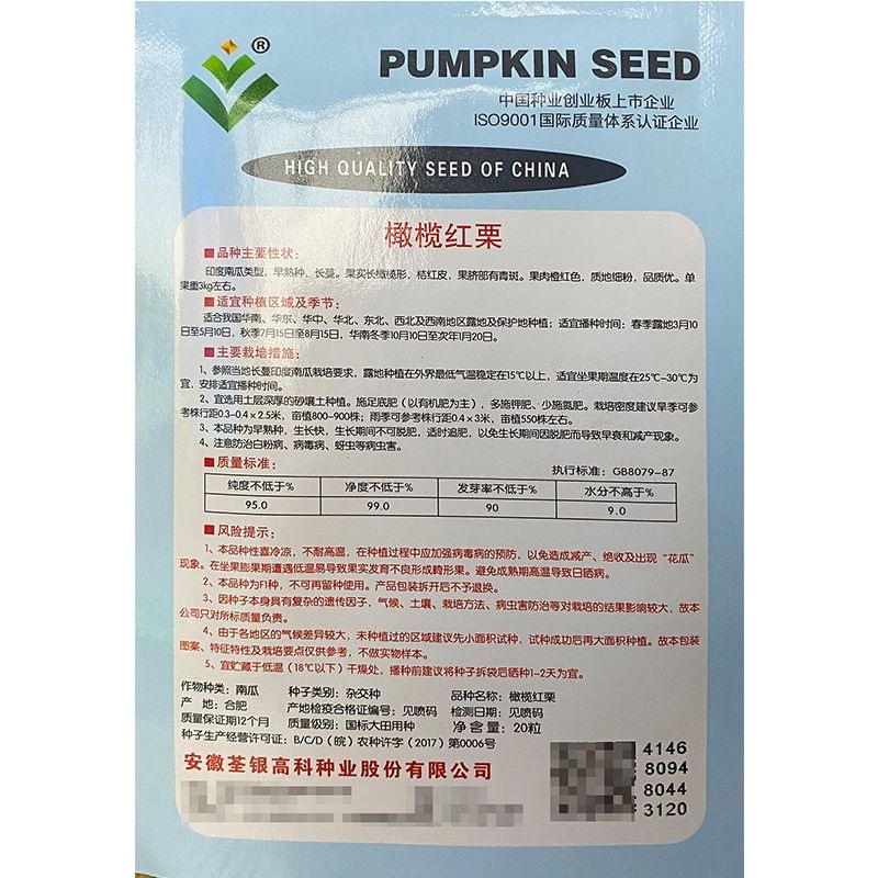 橄榄红栗南瓜种子桔红皮果肉橙红色质地细粉