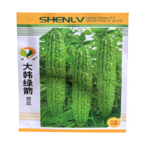 大韩绿箭苦瓜种子油绿高产长绿苦瓜种子