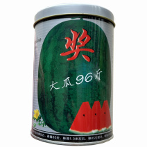 西瓜种子早熟懒汉王抗重茬大瓜96斤中熟大田基地品种