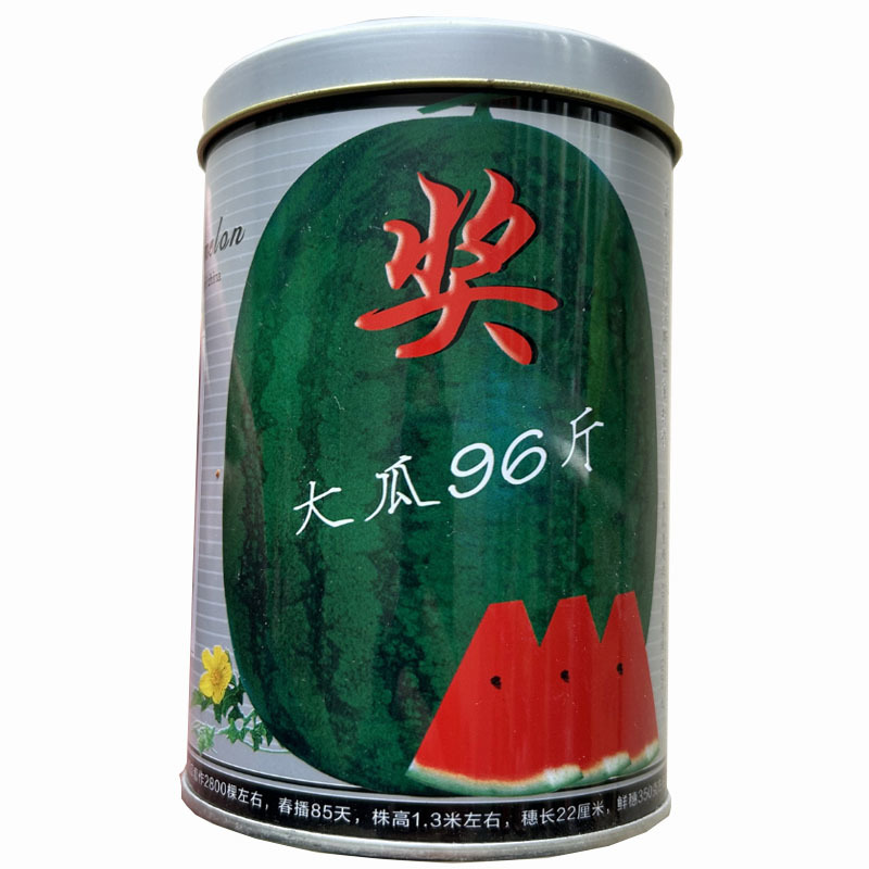 西瓜种子早熟懒汉王抗重茬大瓜96斤中熟大田基地品种