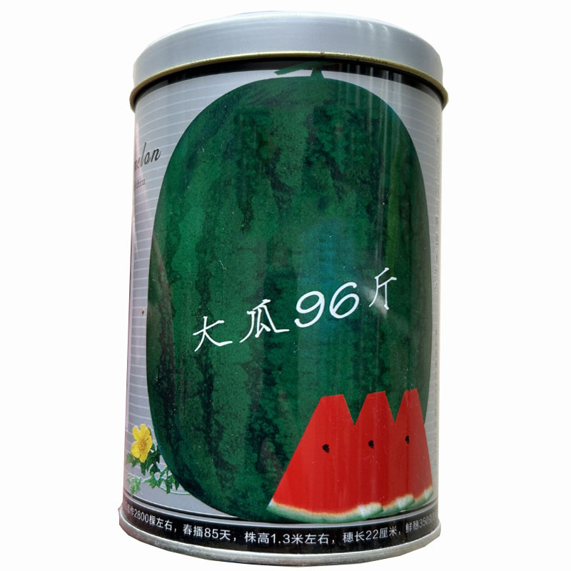 西瓜种子早熟懒汉王抗重茬大瓜96斤中熟大田基地品种