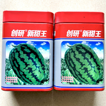 创研新甜王西瓜种子抗雨耐涝易种植四季花皮大红瓤特甜