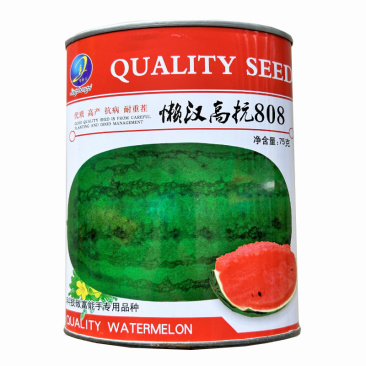 懒汉王西瓜种子高抗808耐重插大果型抗病大田基地品种