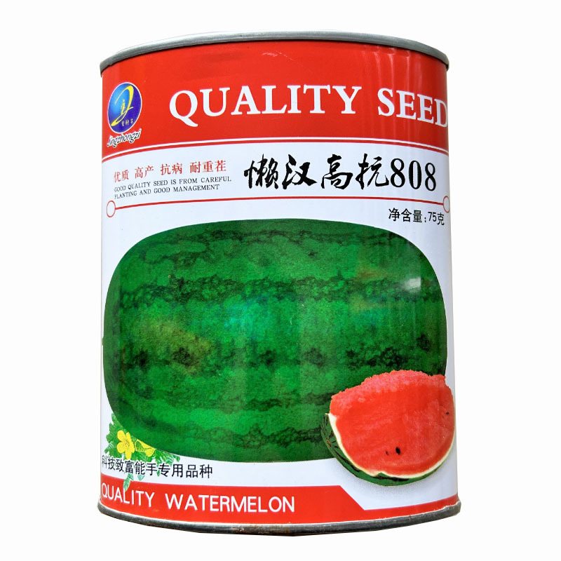 懒汉王西瓜种子高抗808耐重插大果型抗病大田基地品种